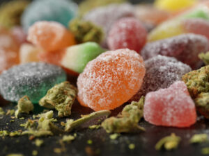 Zoobies